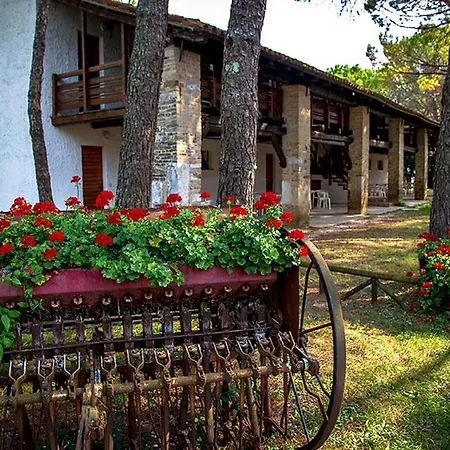 Holiday park Pineta Camping Village Grado *